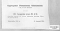 Image Associated With the Occurence